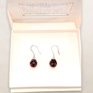 Garnet Drop Earrings NWOT